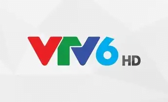 vtv6